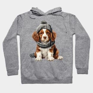 Winter Brittany Dog Hoodie